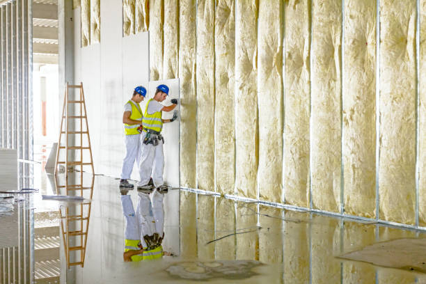 Best Attic Insulation Installation  in Spring City, TN